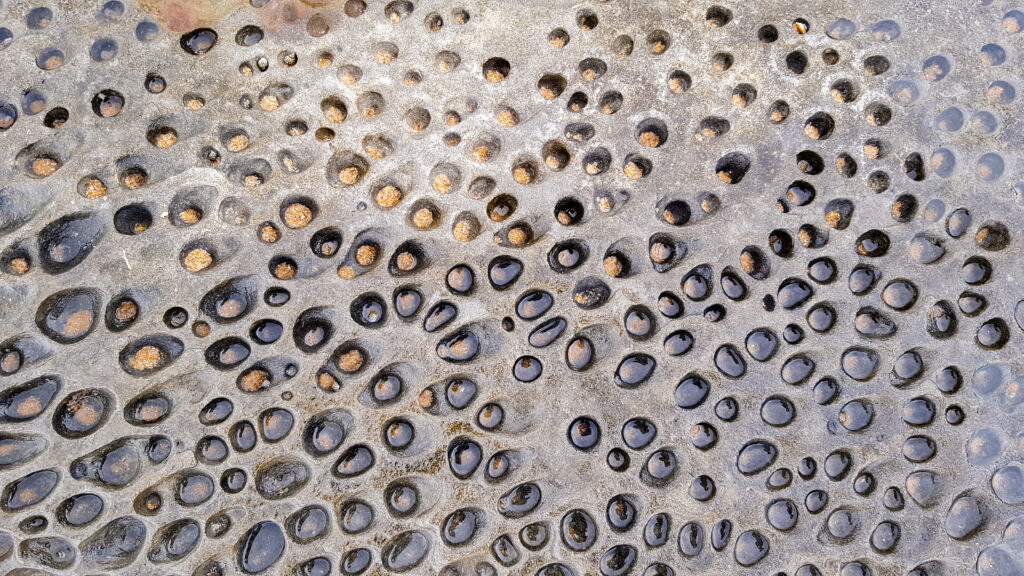 Trypophobia: What Is It, Triggers, Symptoms, Diagnosis & Treatment