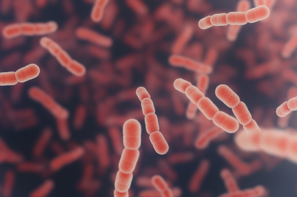 Visualization of sepsis-causing bacteria